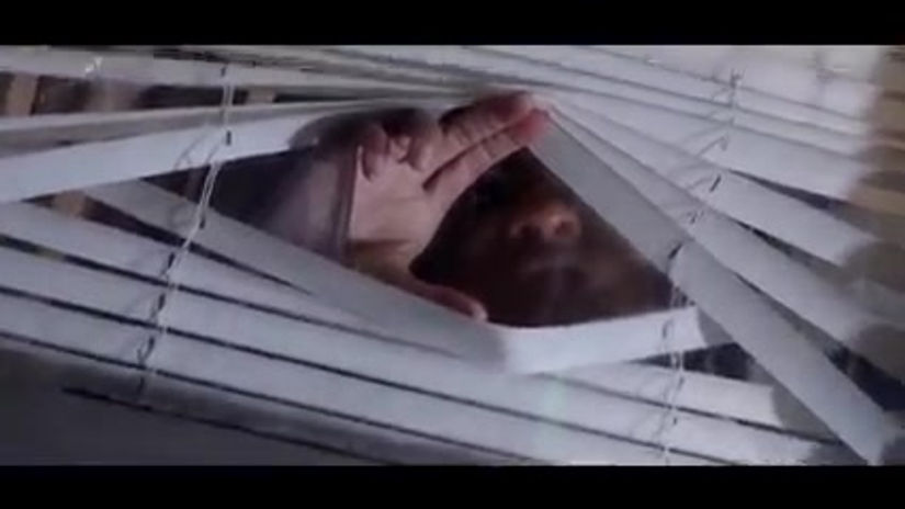 A Happy Halloween Trailer